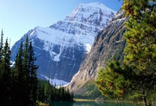 里昂保持全胜，继续领跑积分榜的简单介绍